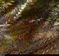 West Coast - New Castle Holiday