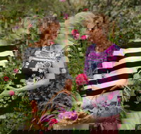 White Cottage - New Castle Holiday