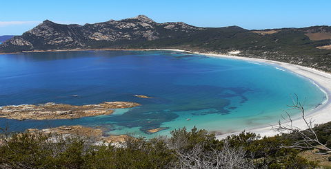 Whitemark - New Castle Holiday 0