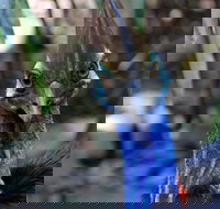 Wildlife Habitat - New Castle Holiday