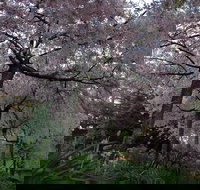 Wildwood Garden - New Castle Holiday