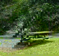 Williams River picnic area - New Castle Holiday