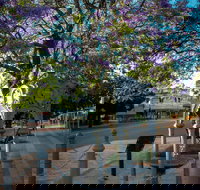 Witcombe Fountain - New Castle Holiday