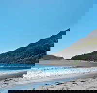 Yacaaba Headland Walking Track - New Castle Holiday