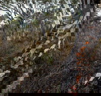 Yanununbeyan State Conservation Area - New Castle Holiday