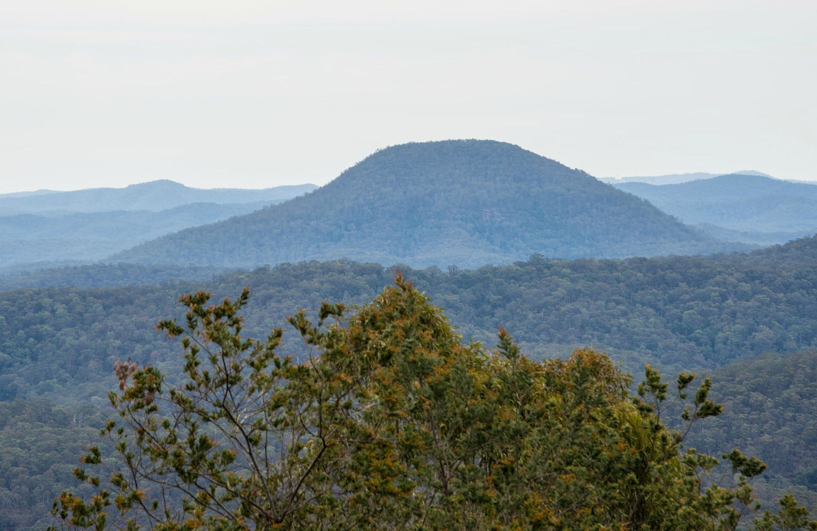 Paxton NSW New Castle Holiday