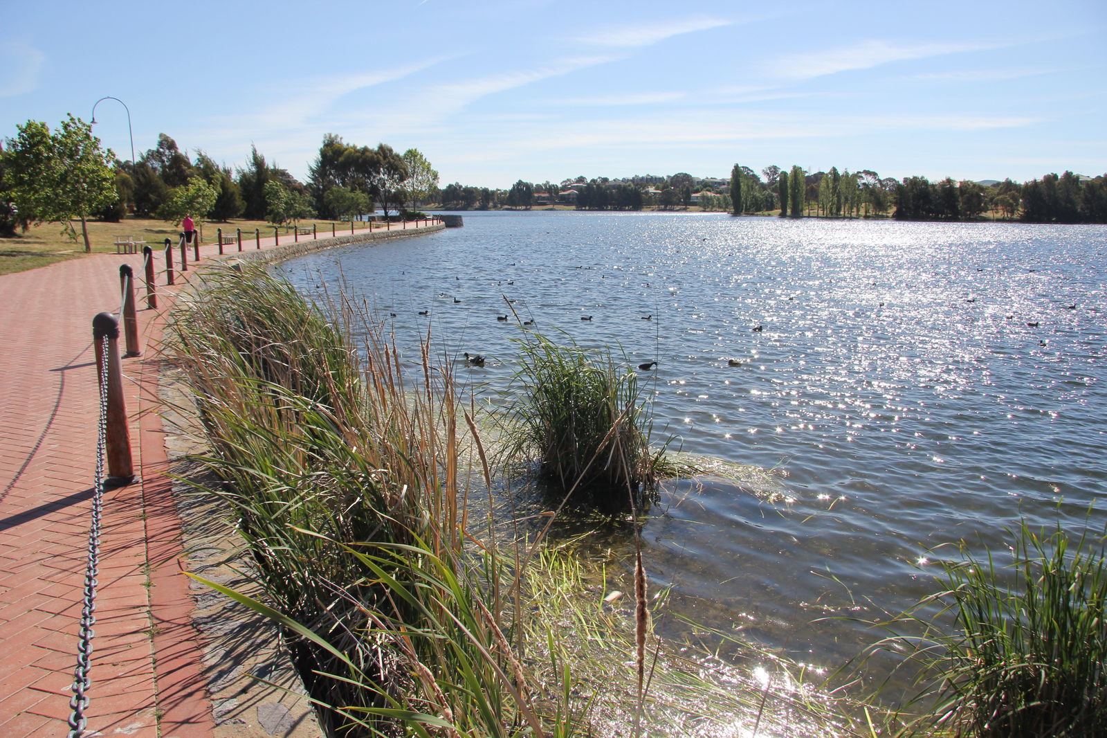 Amaroo ACT New Castle Holiday