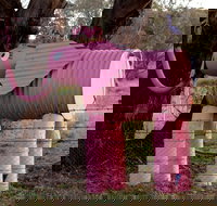 Animals on Bikes - New Castle Holiday