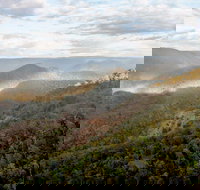 Badgerys Spur Walking Track - New Castle Holiday