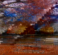 Bells Parade Reserve - New Castle Holiday