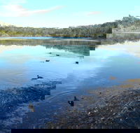 Berrara Creek - New Castle Holiday