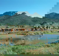 Biggenden - New Castle Holiday