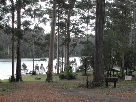 Big Brook Arboretum - New Castle Holiday 0