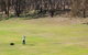 Blayney Golf Club - thumb 1