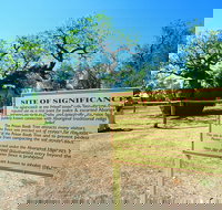 Boab Prison Tree - New Castle Holiday