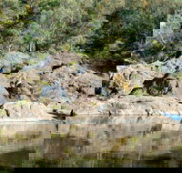 Boonoo Boonoo National Park - New Castle Holiday