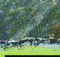 Boyanup - New Castle Holiday