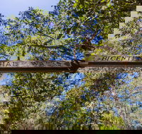 Bribie Island Bicentennial Trails - New Castle Holiday