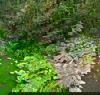 Brindle Creek Picnic Area - New Castle Holiday