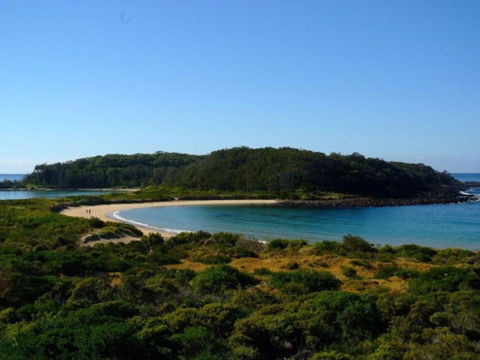 Broulee Island Nature Reserve Walk - New Castle Holiday 0