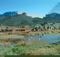 Bundaberg- Biggenden- Mount Perry Circle - New Castle Holiday