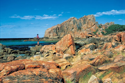 Castle Bay - New Castle Holiday 1