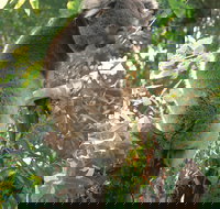 Caversham Wildlife Park - New Castle Holiday