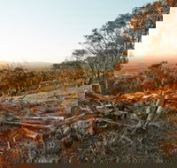 Chick Hill Walk - New Castle Holiday