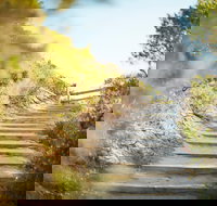 Coppins Walk Track part of The Coastal Walk - New Castle Holiday