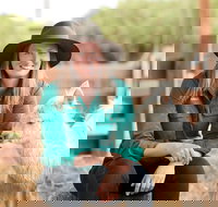 Creswick Woollen Mills - New Castle Holiday