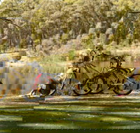 Creswick Regional Park - New Castle Holiday