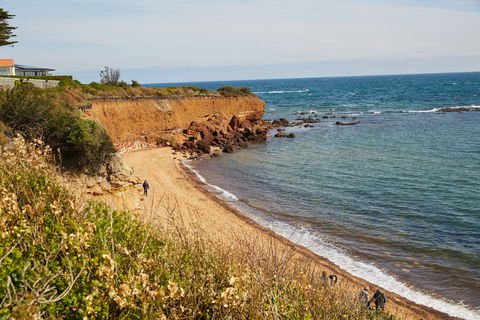 Davey's Bay - New Castle Holiday 0