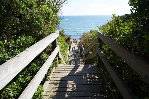 Davey's Bay - New Castle Holiday 1