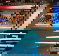 Dive Into History at Sydney Olympic Park Aquatic Centre - New Castle Holiday