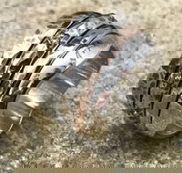 Eclectopia Gifts and Specialty Homewares - New Castle Holiday