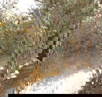 Eulo Town Hole - New Castle Holiday