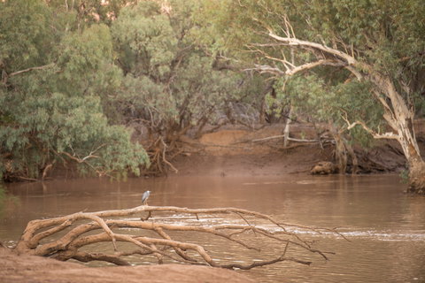 Eulo Town Hole - New Castle Holiday 2