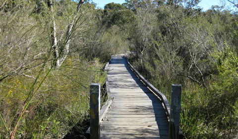 Falcon Crescent Link Track - New Castle Holiday 0