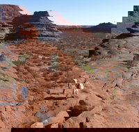 Finke Gorge National Park - New Castle Holiday