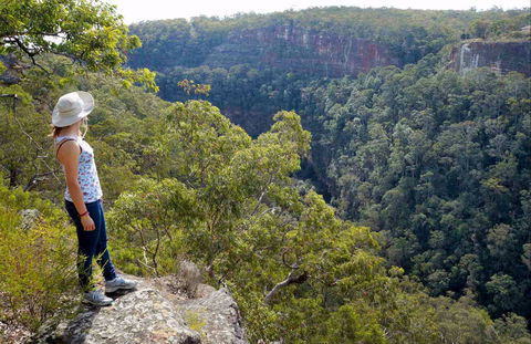 Glenbrook Gorge Track - New Castle Holiday 0
