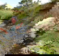 Gold Panning Deep Creek - New Castle Holiday