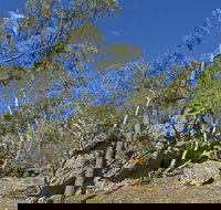 Green track - New Castle Holiday