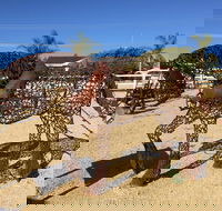 Gundersen Reserve - New Castle Holiday