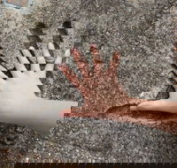 Hands of Fame Park - New Castle Holiday