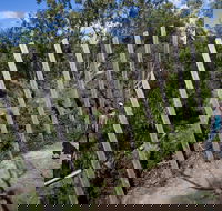 Herring Island Environmental Sculpture Park - New Castle Holiday