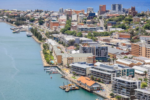 Honeysuckle - New Castle Holiday 1