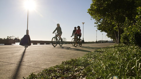 Honeysuckle - New Castle Holiday 2