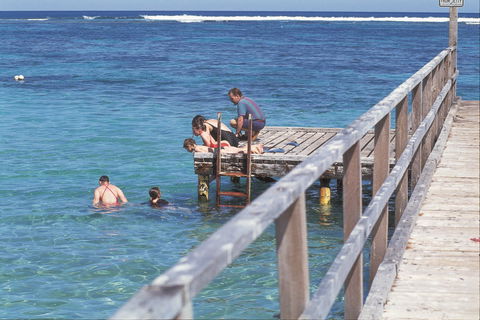 Horrocks - New Castle Holiday 2