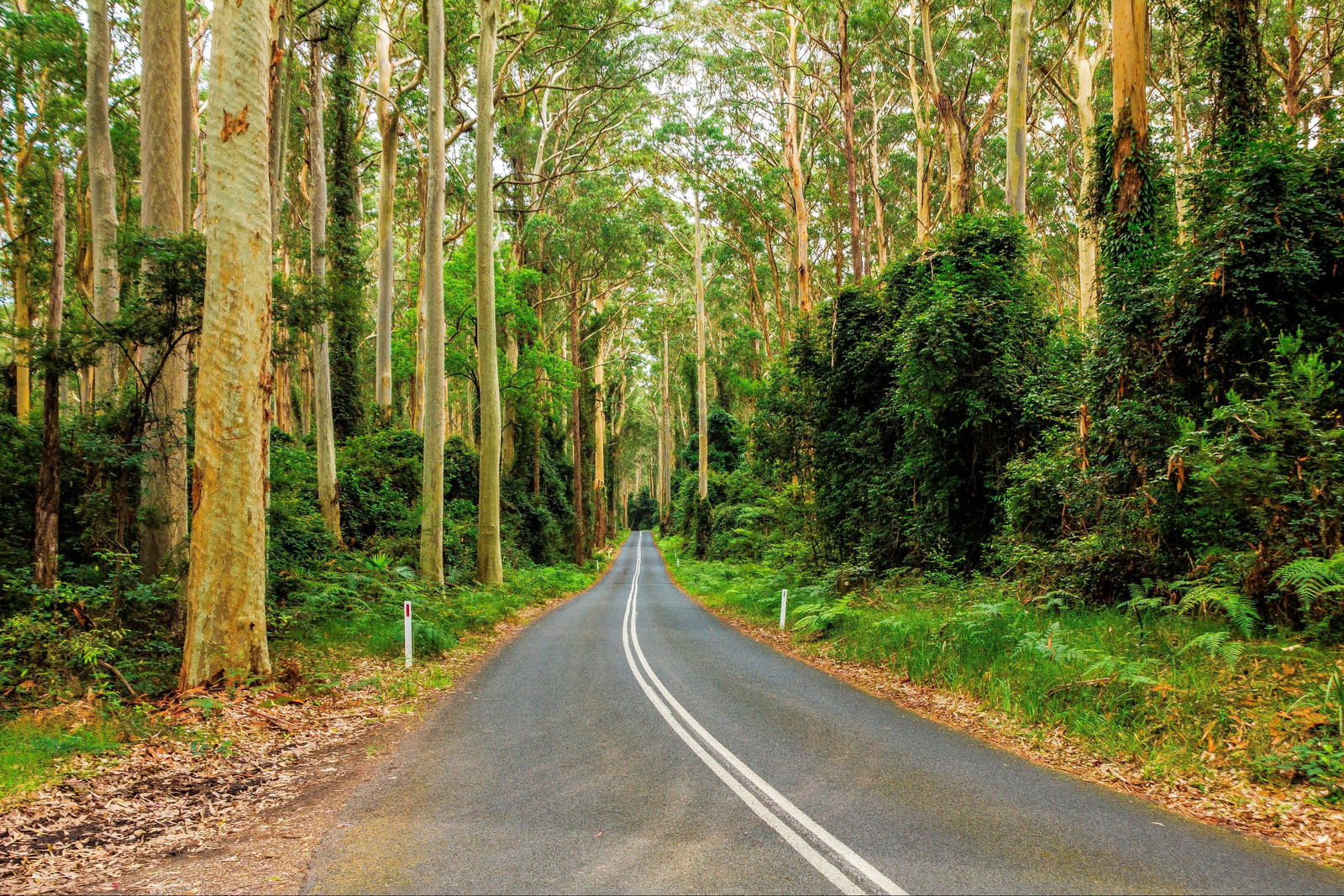 Kioloa NSW New Castle Holiday