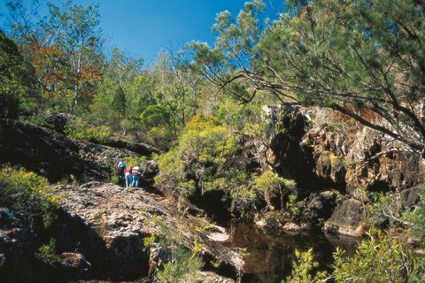 Kroombit Tops National Park - New Castle Holiday 0
